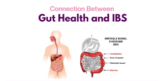 Gut Health